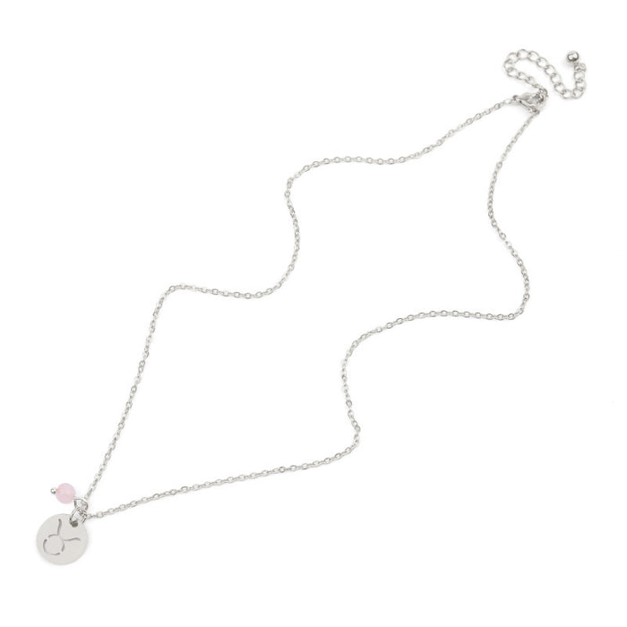 Stainless steel Zodiac Necklace
