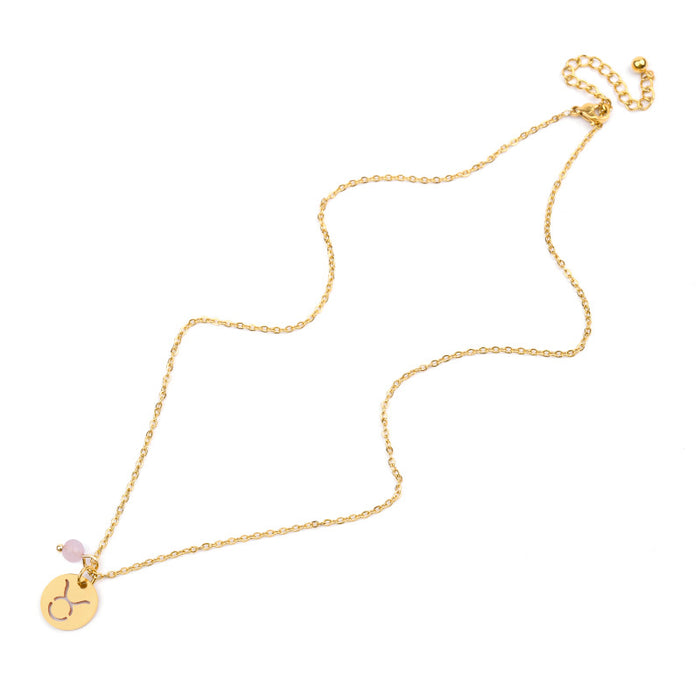 Stainless steel Zodiac Necklace